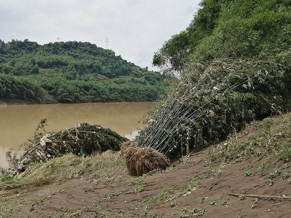 綦江洪水暴雨侵袭下的紧急救援与应对最新报道