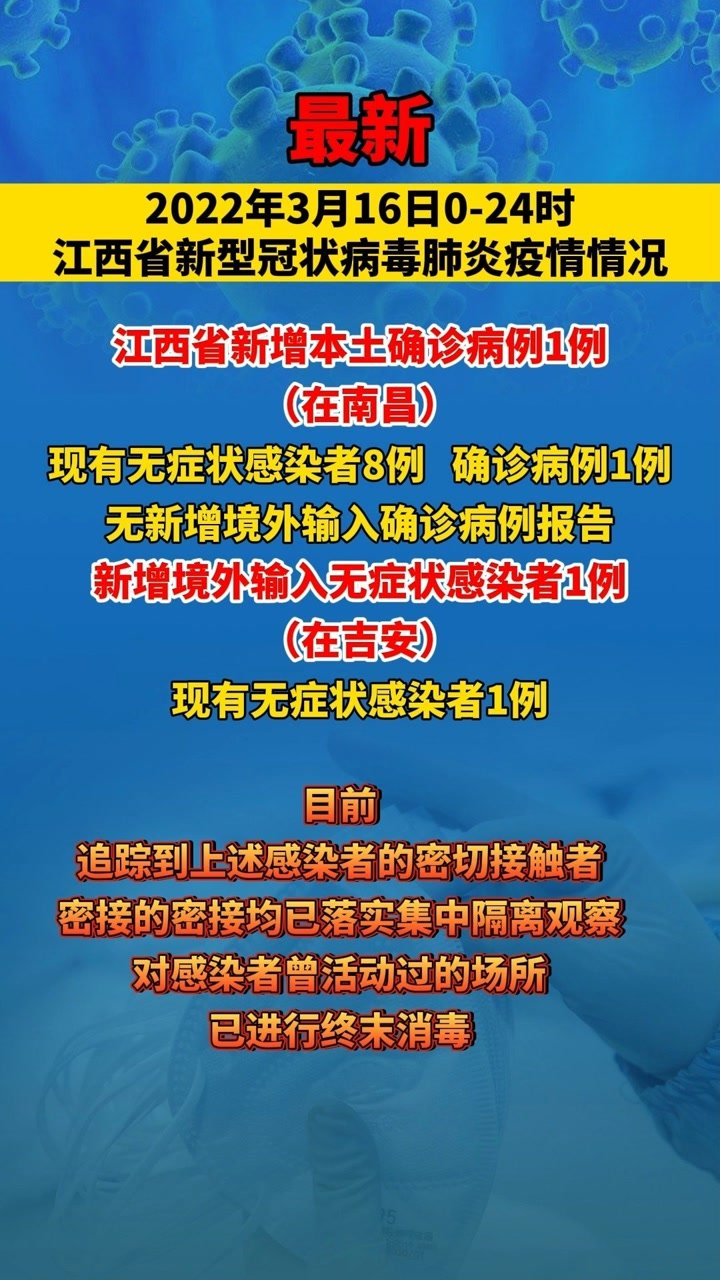 江西疫情最新动态与隐秘小巷的魅力风采